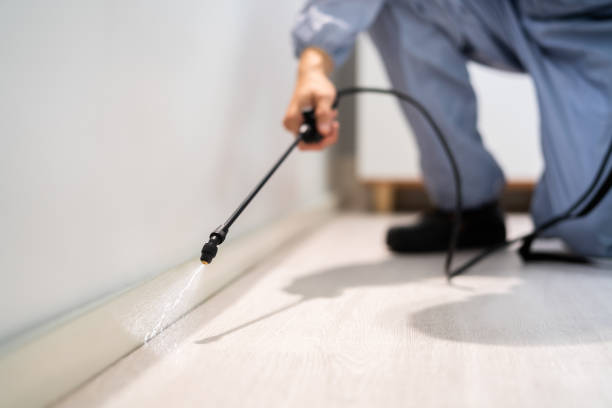 Licensed Cockroach Control service in Ridge Manor, FL - Nex Pest Control
