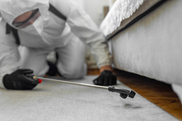 Professional Cockroach Control technician working in Ridge Manor, FL