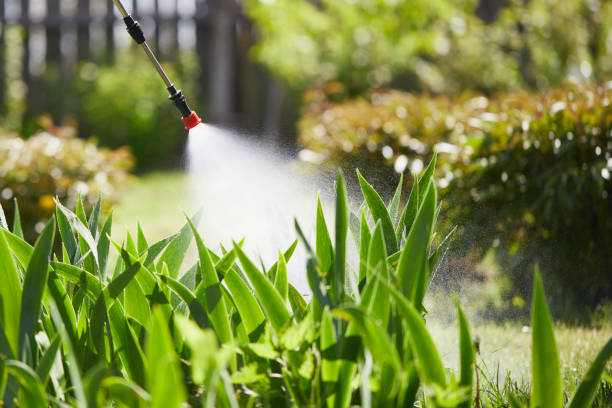 24/7 Emergency Cockroach Control experts in Ridge Manor, FL