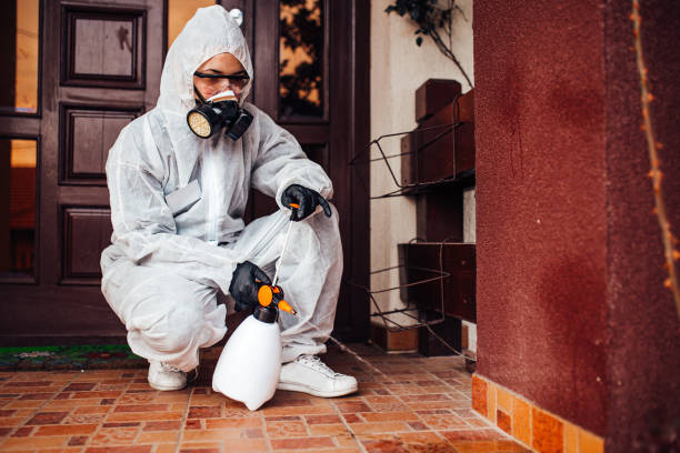 Reliable Cockroach Control contractor in Ridge Manor, FL by Nex Pest Control